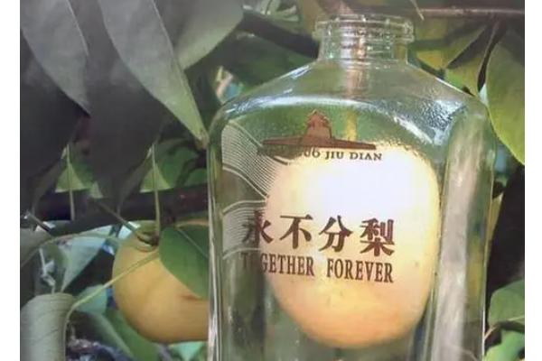 娱乐生活 第7页